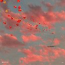 109 이미지
