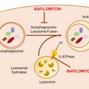 해독한의원 이미지