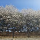 법곳길 이미지