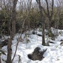 평전농장 이미지