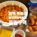 평택 떡볶이 신메뉴 치떡세트 달토끼의떡볶이흡입구역 비전점