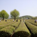 주)보성 이미지