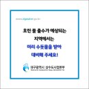대구광역시 상수도사업본부 시설관리소 이미지