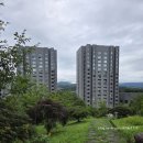 블룸비스타호텔앤컨퍼런스주식회사 | [경기 양평] 현대 블룸비스타호텔 내돈내산 솔직후기