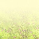 치히로 - 전주시 완산구 전주객사3길 73-56 | 치히로