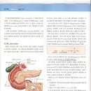 소화기계 7 - 췌장, 췌장액, 간, 간구조, 간기능 이미지