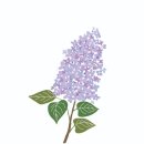 소예꽃과정원 - 관악구 복은길 113-10 | 소예꽃과정원