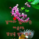 현신로 이미지