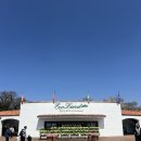 (주)에코클린제주 | 제주 가족여행 관광지 추천 제주 에코랜드 기차 휠체어 후기