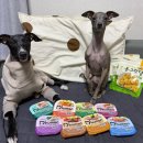 동그랑댕 이미지