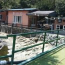 돌티미식당 이미지