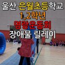 은월초교 Daum카페