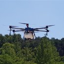 대전대암초등학교 이미지