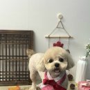 오월의 그루밍 이미지