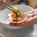 꽃가리비 이미지