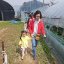 도희농장 이미지