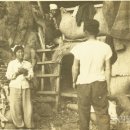 서도마을회관 이미지