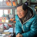 홍동상회 오마이뉴스