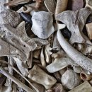 센텀튼튼정형외과의원 이미지