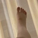 (유)프로응급환자이송센터 | [35주 0일] 쌍둥이 응급 제왕절개-저의 스펙타클 했던 후기 들어보실래요