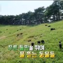 재용농장 이미지