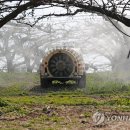 이미숙농장 이미지