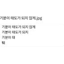 불량여우 네이버블로그