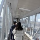 P-6503 | 나트랑 가족여행 1일차｜비엣젯 밤비행 + 파노라마 나트랑 산빌라 숙소 후기