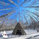 자작나무쉼터 | 인제 원대리 자작나무숲 시간 주차 코스 겨울 강원도 가볼만한곳