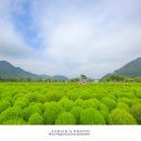 황산공원 이미지