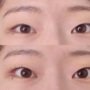 노원역 5번출구 | 노원역 속눈썹펌 노원 속눈썹 잘하는 곳 아이블리