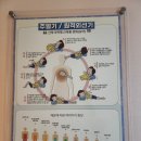 자담인 자연점 | 자담인 1박2일 캠프 후기 : 몸의 열과 에너지가 깨어나는 시간