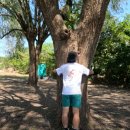 영광서초등학교 이미지