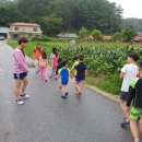 도담 태권도 이미지