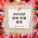 영화마을묵동점 | 여기가 바로 장미 천국”…2025 장미축제, 인생샷은 여기서 찍어요