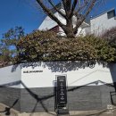 디뮤지엄(대림미술관 분관) | [1월 전시] 페트라 콜린스 : fangirl @대림미술관