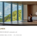 화수축산 | 불꽃세일, 거제 벨버디어 예약후기