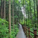 건천자동차정비 | 부산공항에서 건천까지 부산공항콜택시 합리적 요금운행