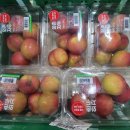 장고농장 이미지