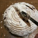 화이트사 이미지