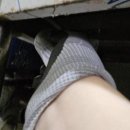 그린라인경기북부센터
