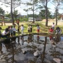 새영해어린이집 이미지