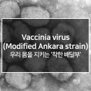 한국 IMV | 우리 몸을 지키는 '착한 배달부', Modified Vaccinia Ankara