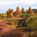 태화강 국가정원 코스 이미지