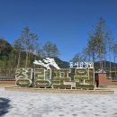 영월-16