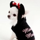 펫 파라다이스 이미지