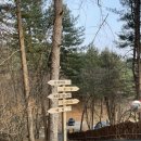 송림로70번길 7 | 아홉번째 캠핑) 가평 선택적고립 캠핑장 C-7 사이트 이용 후기 및 명당 자리 추천