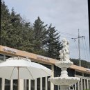 연화카페 이미지