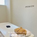 [창원]상남동 뽐온뷰티 팔전체왁싱 잘하는 곳 경남 No.1왁싱전문샵 후기