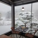 분당운중-D-7 | 판교, 분당 운중저수지 "카페랄로" 내돈내산 후기｜4계절을 품은 뷰 맛집 브런치 카페 추천